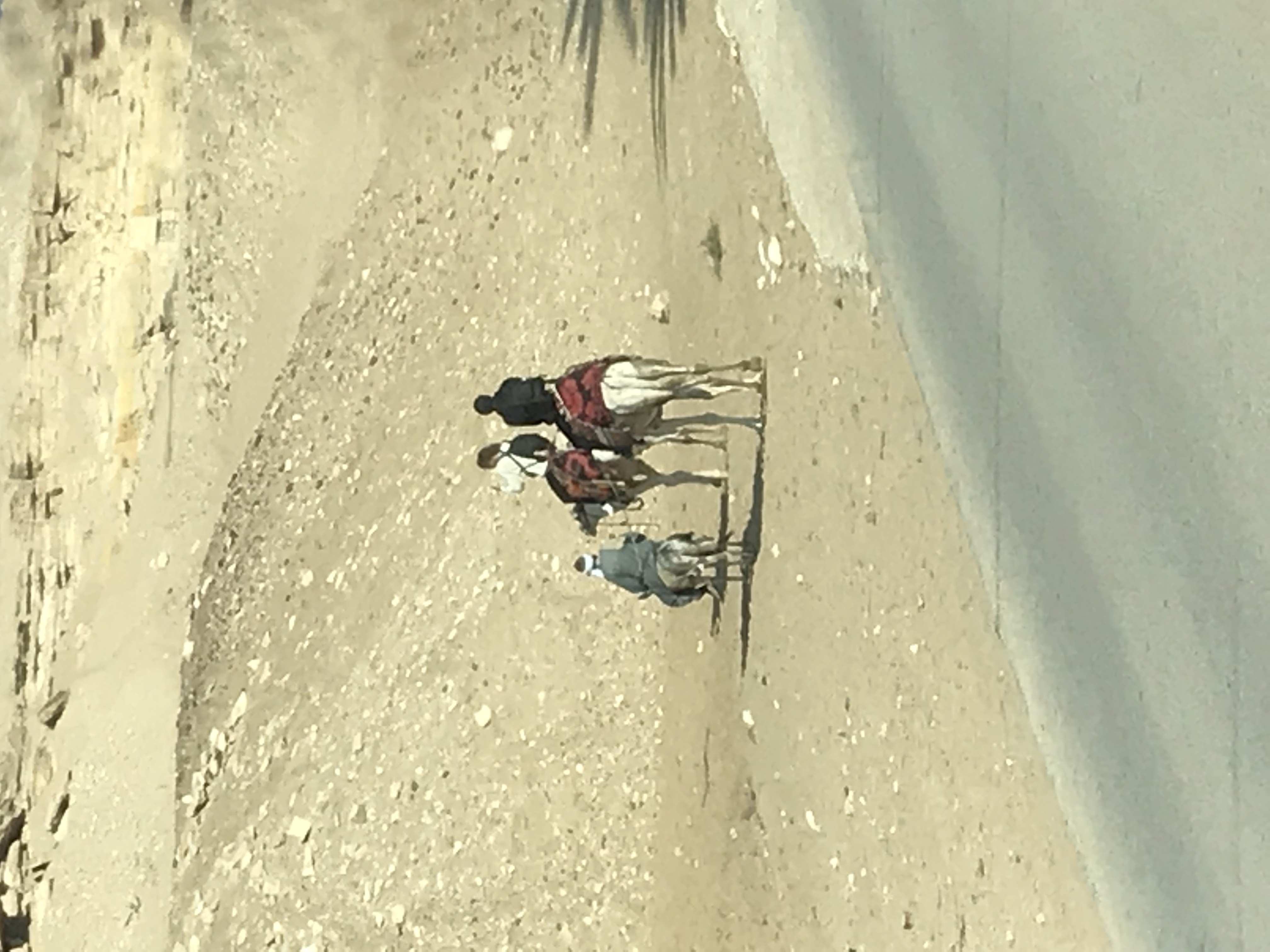 ./2018/16 - Egypt/03 - Pyramids/IMG_0537.jpg